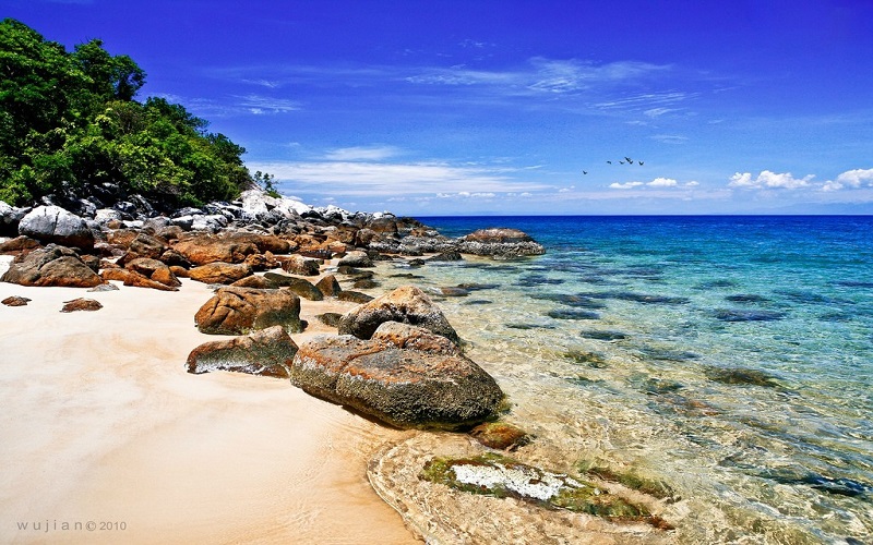 Cu Lao Cham Island Tours
