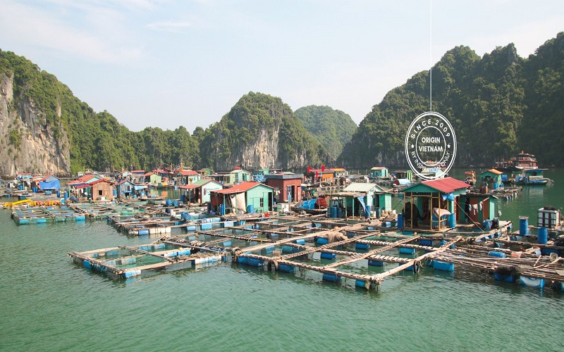 cai-beo-floating-village