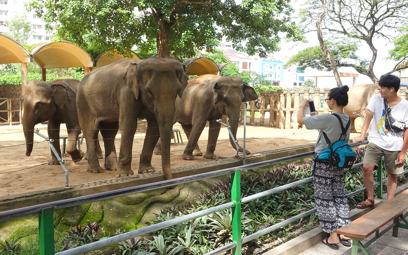 saigon-zoo-and-botanical-garden-photos