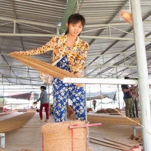 ben-tre-mekong-2-days-tour