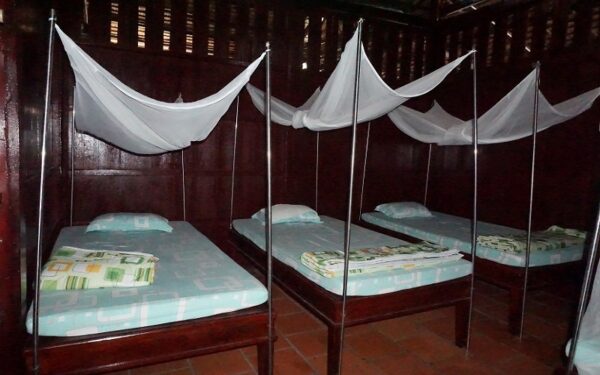 mekong-delta-homestay-tour