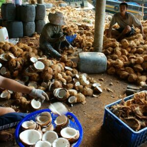 Mekong Delta Homestay Tour