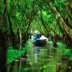 tra-su-cajuput-forest-boat-tour