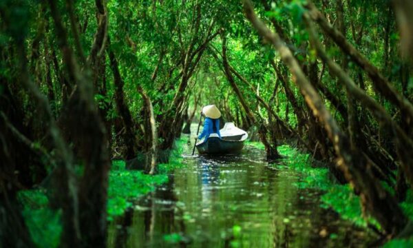 tra-su-cajuput-forest-boat-tour