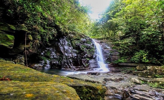 Bạch Mã National Park