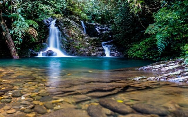 Bach Ma National Park Information