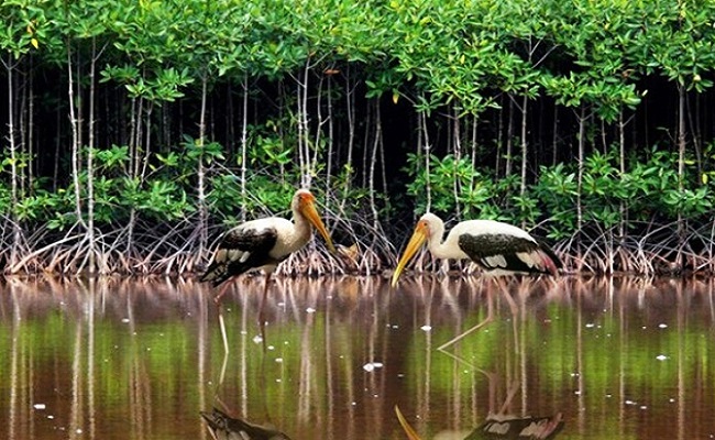 Côn Đảo National Park