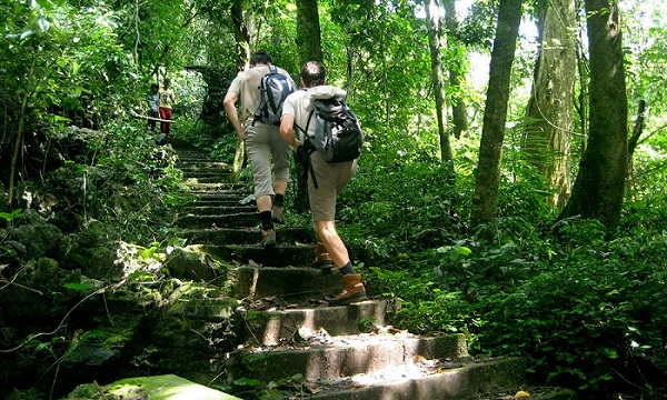 Cuc Phuong National Park
