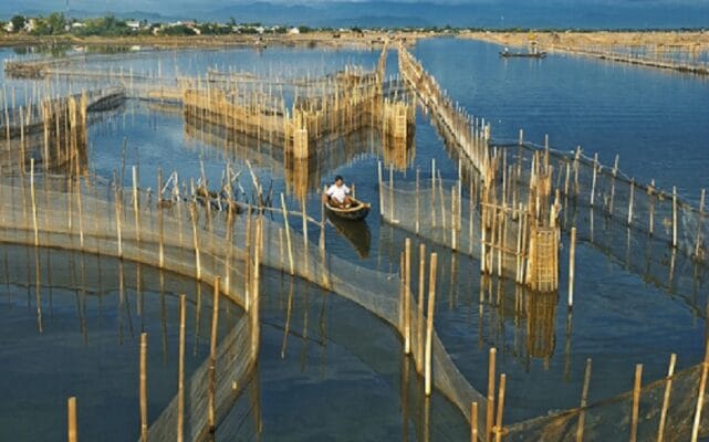 Đầm Chuồn in Tam Giang Lagoon