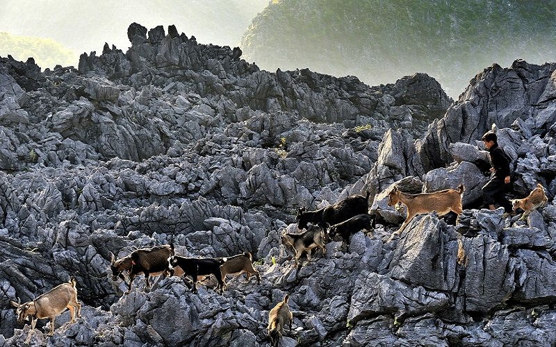 Dong Van Karst Plateau Geopark