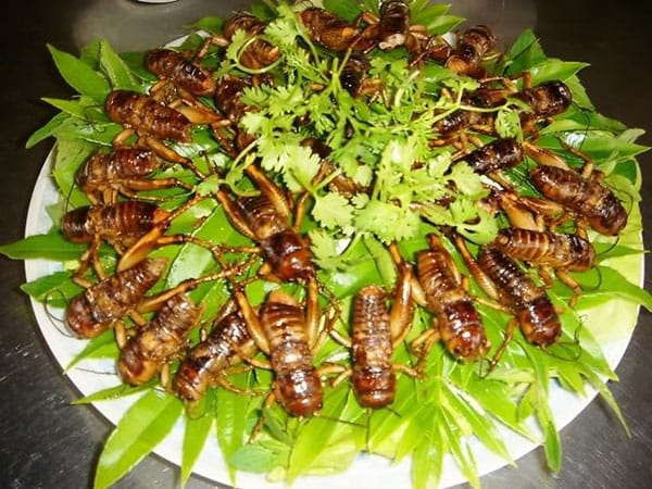 Weirdest Vietnamese Food