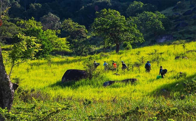 Núi Chúa National Park