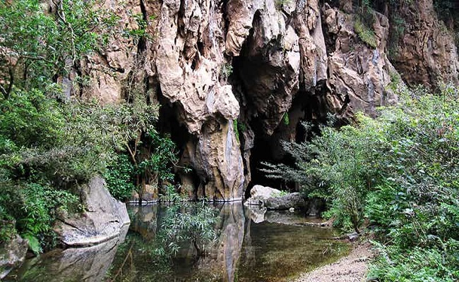 Best National Parks in Vietnam
