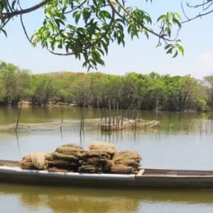 tam-giang-lagoon-tour