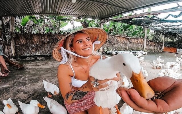 Duck Massage