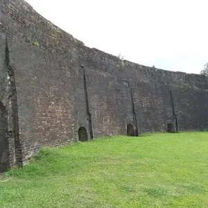 tiger-arena