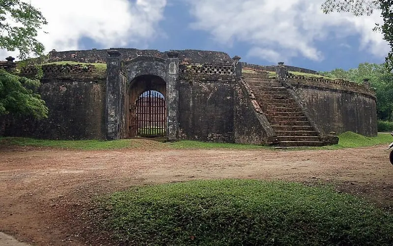 tiger--elephant-arena