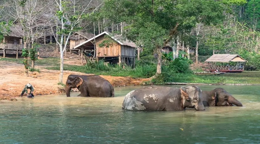 Laos-Tourist-Guide