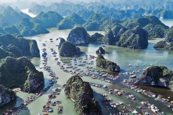 cat-ba-island