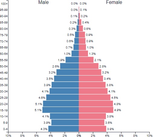 Vietnamese Population