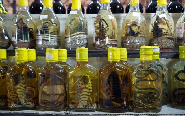 snake-wine