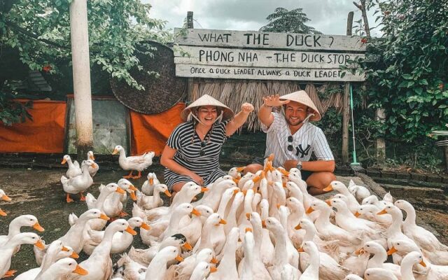 the-duck-stop-phong-nha