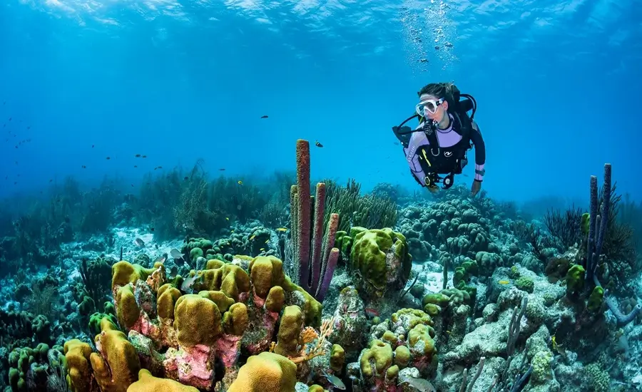 phi-phi-island-Scuba-Diving