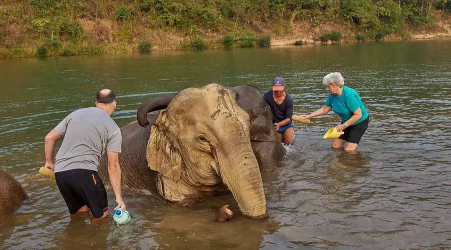 lephant-Conservation-Luang-Prabang